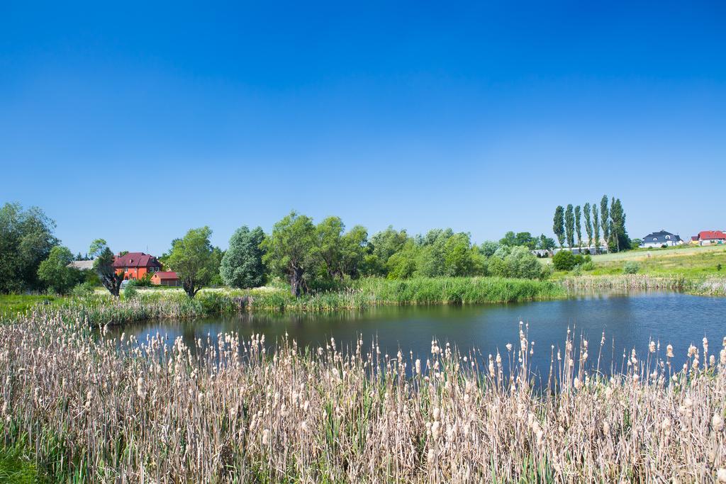 Bed and Breakfast Zloty Staw Borkowo  Exterior foto